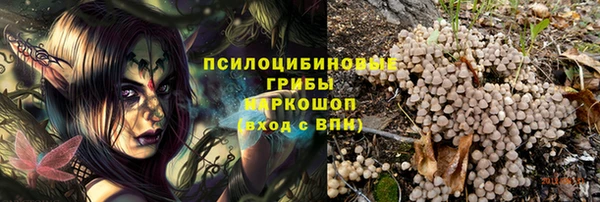 скорость Дмитриев